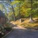 Uploaded image