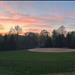 Uploaded image